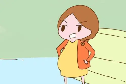 試管嬰兒移植前注意事項(xiàng)有什么？